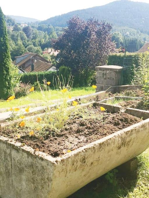 Gite ~ Clairefontaine Cornimont Exterior photo